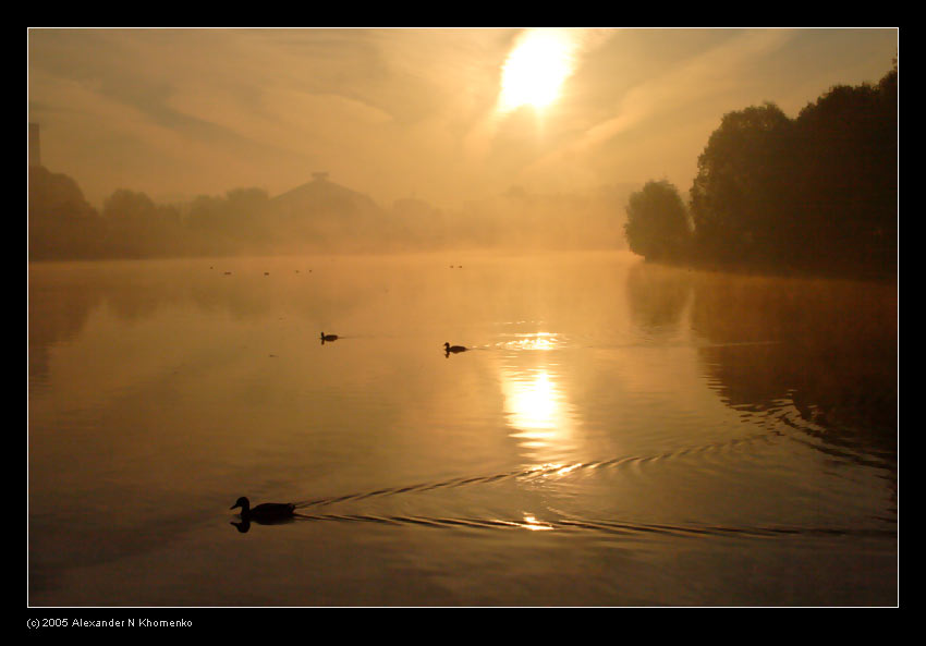  - Старое   - Александр Хоменко, Фотограф - Alexander Khomenko 