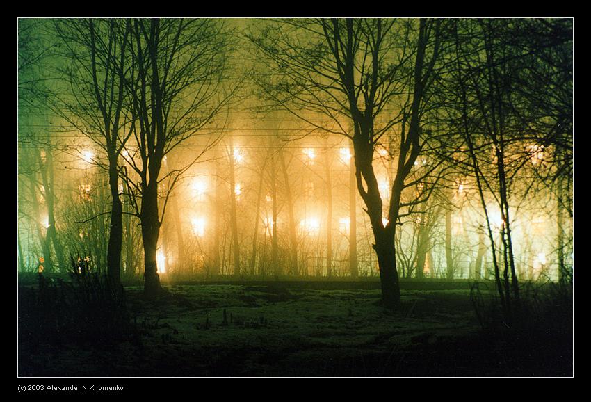  - Физтех - туман   - Александр Хоменко, Фотограф - Alexander Khomenko 